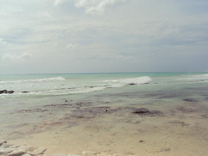 Beach not our 2.jpg